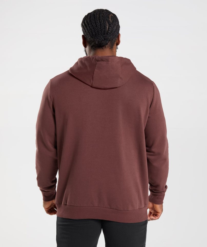 Men's Gymshark Sharkhead Infill Hoodie Brown | NZ 3UJISC